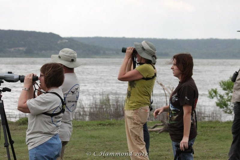 Birders.jpg