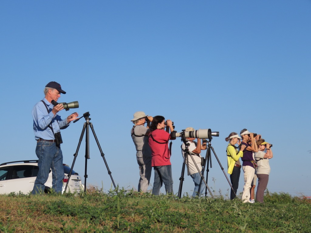 IMG_3201.JPG - TLAS Birders in their habitat