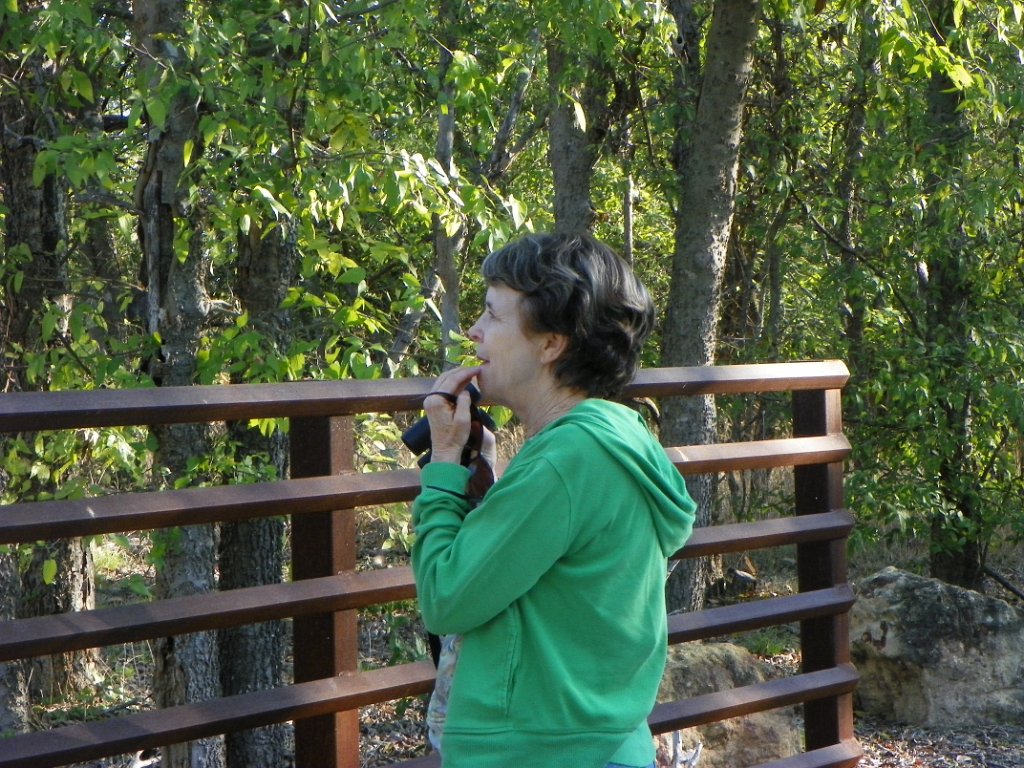 100_3397.JPG