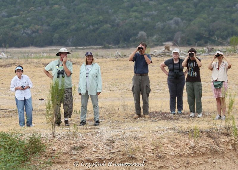Birders.jpg