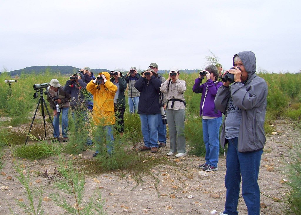 10428325_770885269621165_7434877538321105276_o.jpg - BIRDERS!