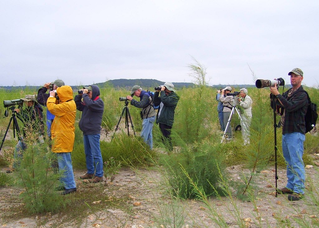 10495302_770884759621216_3811734179971420821_o.jpg - Looking for birds