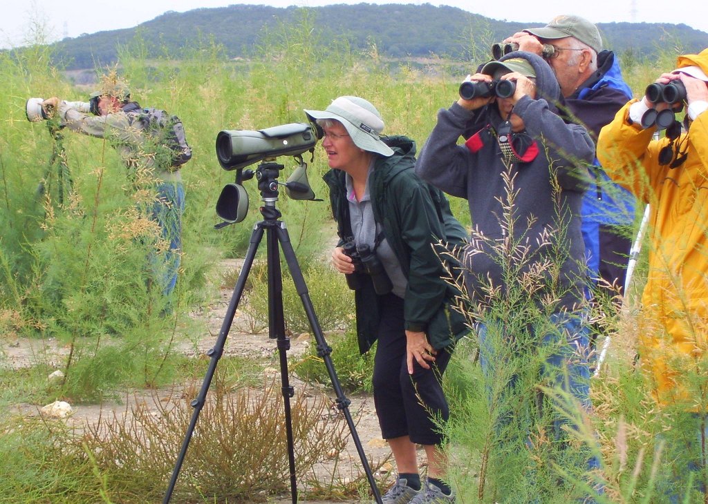 10582808_770885209621171_5342672846521110878_o.jpg - Field Scope is essential for seeing distant shorebirds