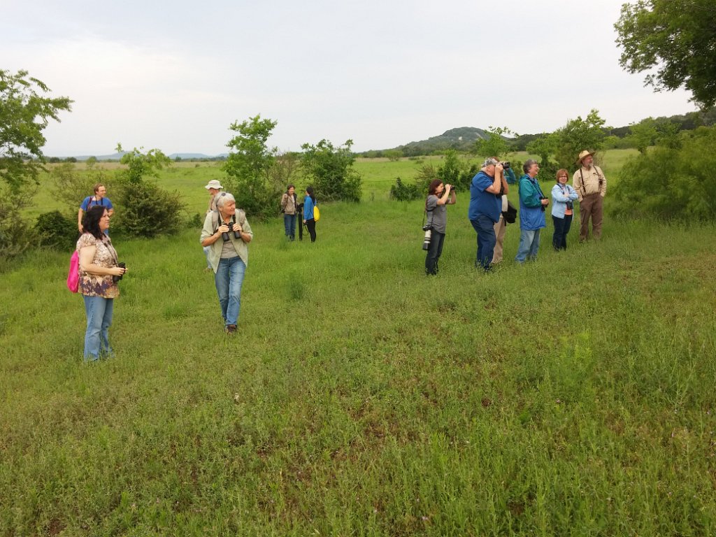 2016-04-24 08.25.24.jpg - TLAS birders looking at Great Horned Owl nest