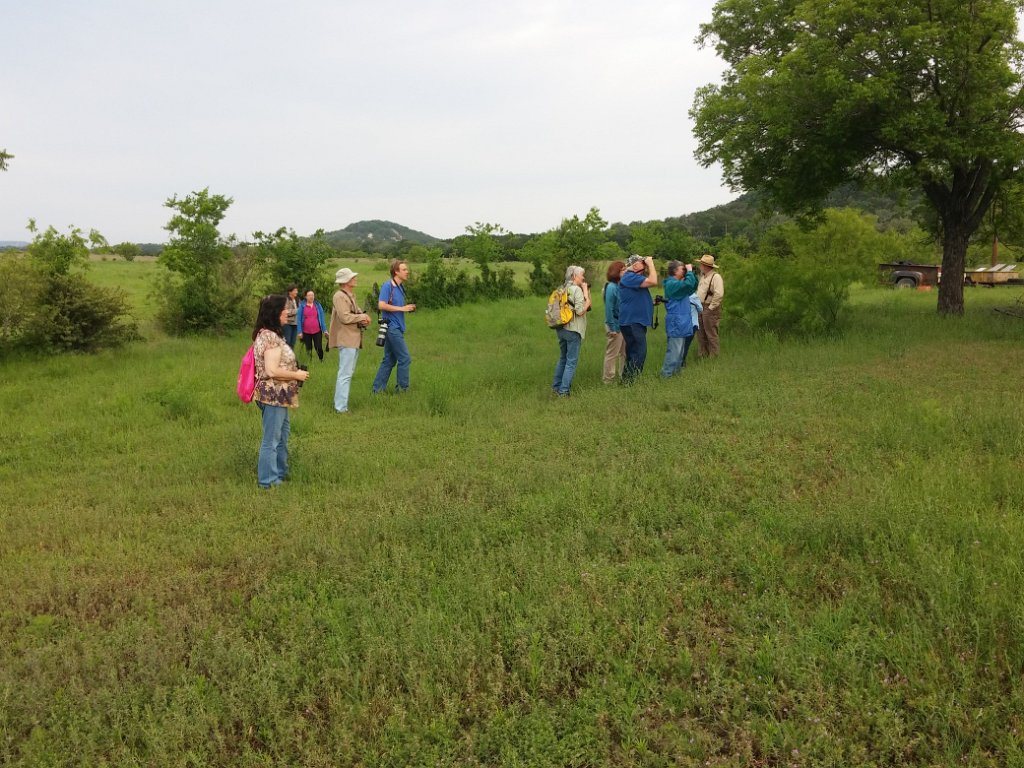2016-04-24 08.25.35.jpg - TLAS birders looking at Great Horned Owl nest