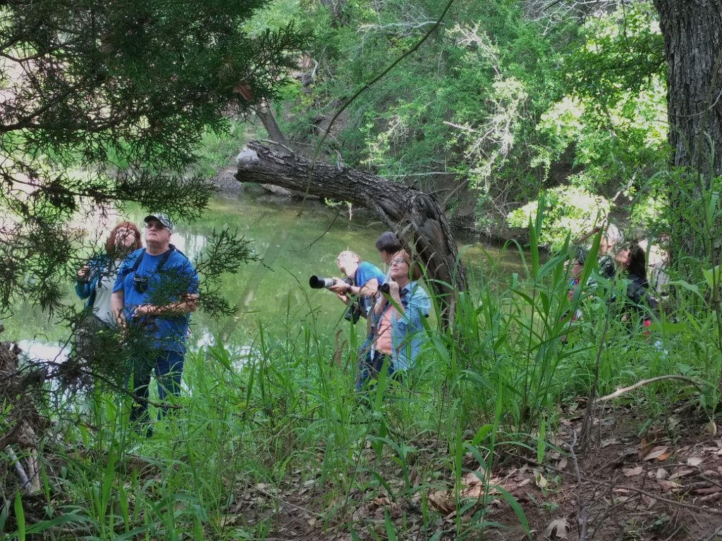 2016-04-24 10.47.44.jpg - Looking for Red-eyed Vireo