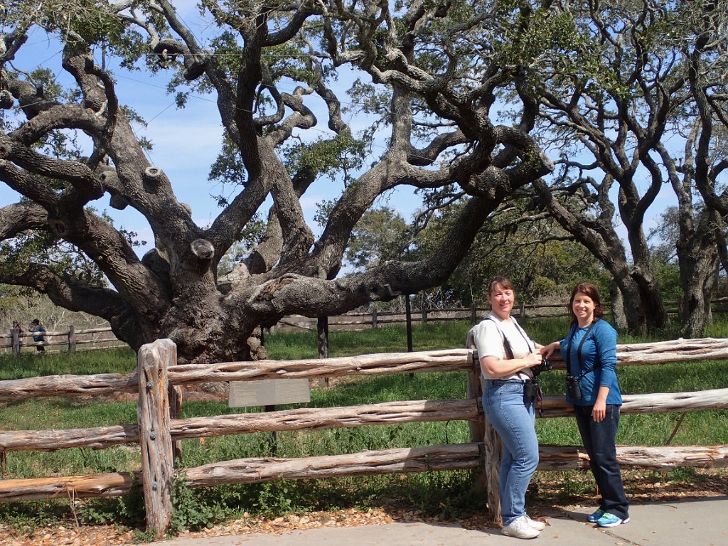 TLAS Birders at Big Oak.jpg